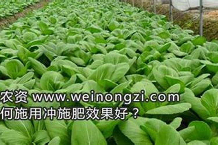 如何简单配制用于蔬菜和水果的肥料？