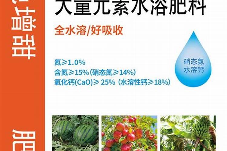 金鱼吊兰怎么养殖