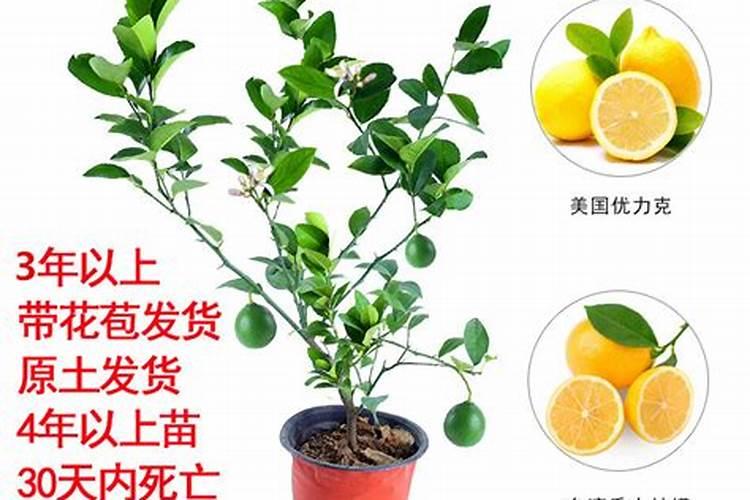 氮肥可以兑水浇花吗
