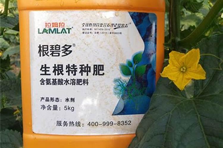 南丰蜜桔酯斑病打什么药？什么时候打药最好？