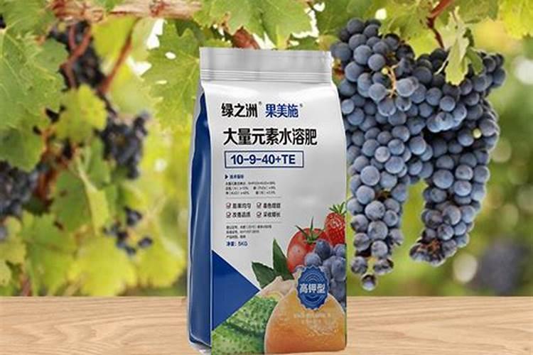 第一年葡萄小苗施什么肥(刚种葡萄苗用什么肥料长得快)