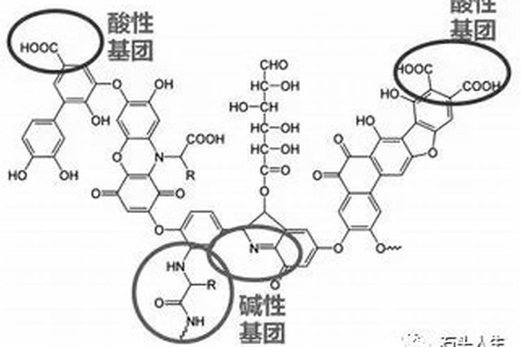 腐殖酸(土)如何化验