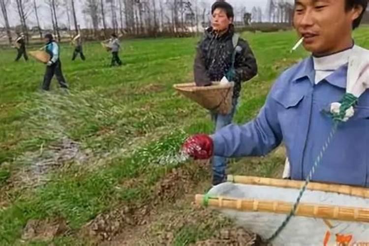氮肥臭吗