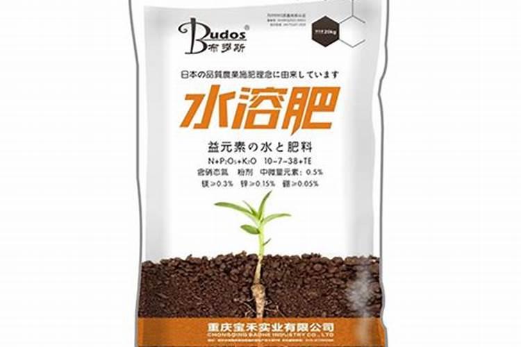 七坡林场桉树专用肥