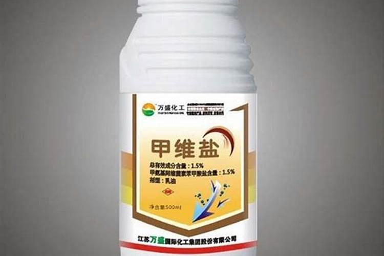 葡萄套袋还是不套袋好露天葡萄阴雨天能不能套袋