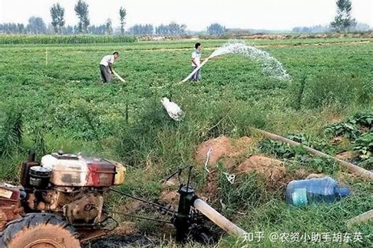 大量元素水溶肥有哪些作用
