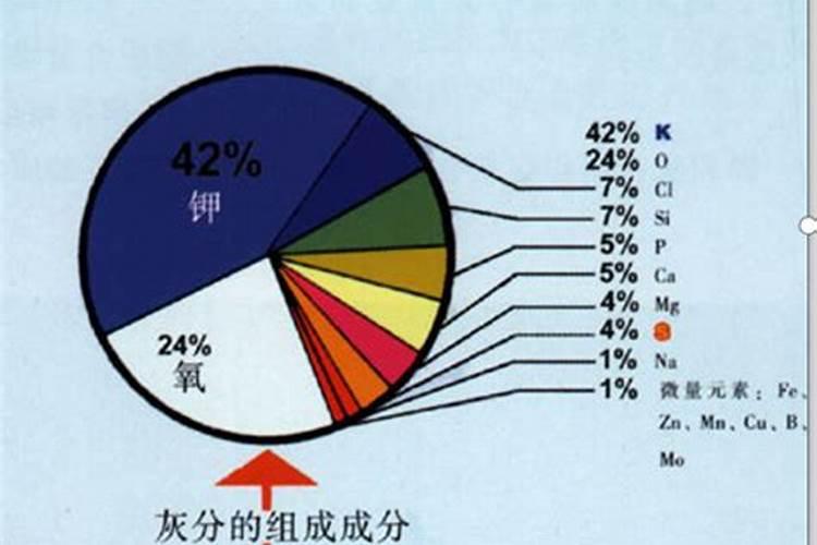 武冈市最大玉米收购厂地址