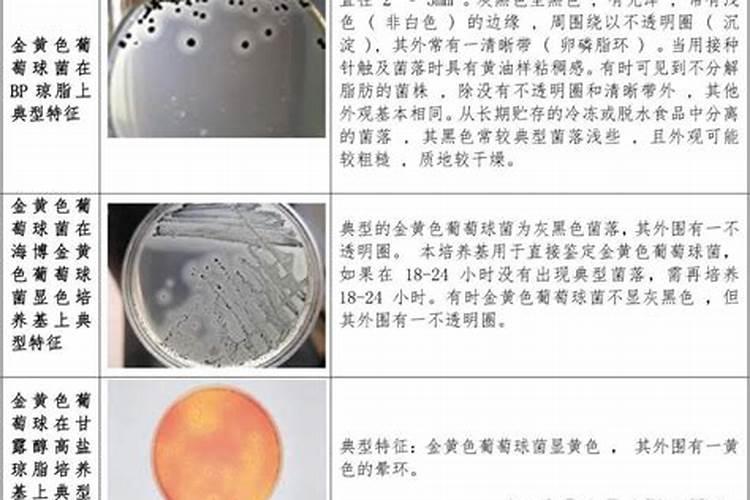 钾肥的最佳使用时间