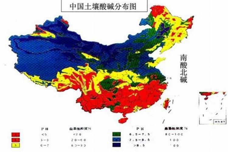 小麦分蘖期喷什么叶面肥 小麦分蘖期能打多效唑吗