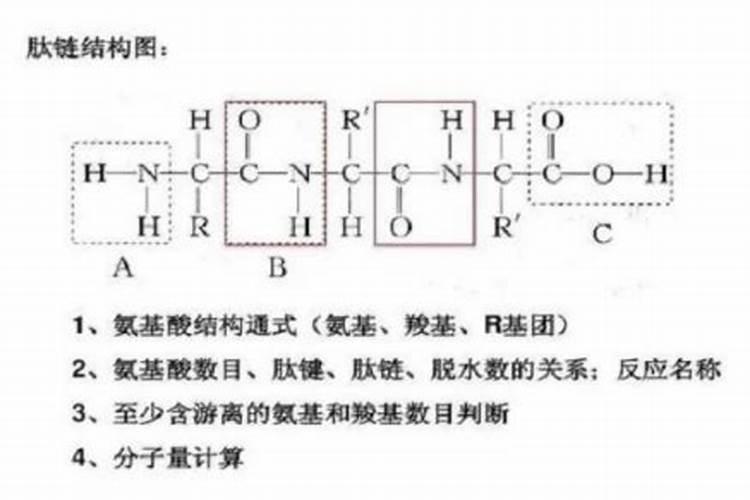 叶面肥厂家哪个做的最好？