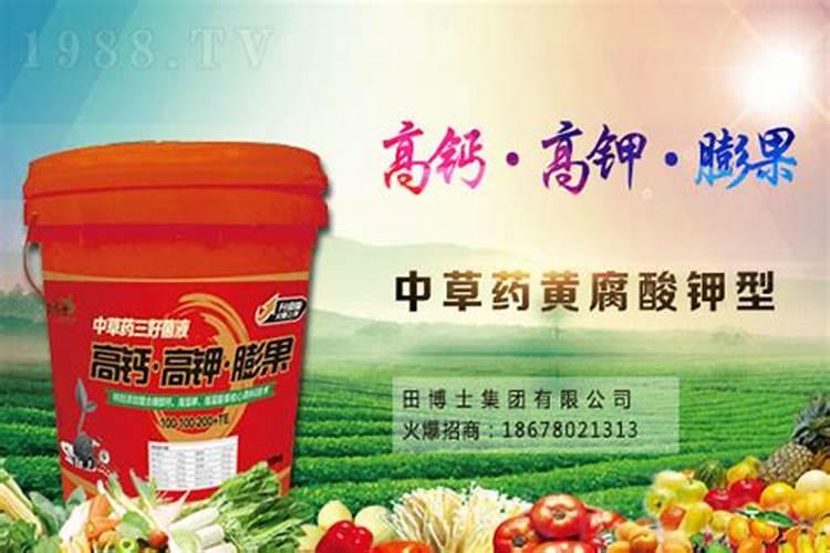 口语去根儿是啥意思