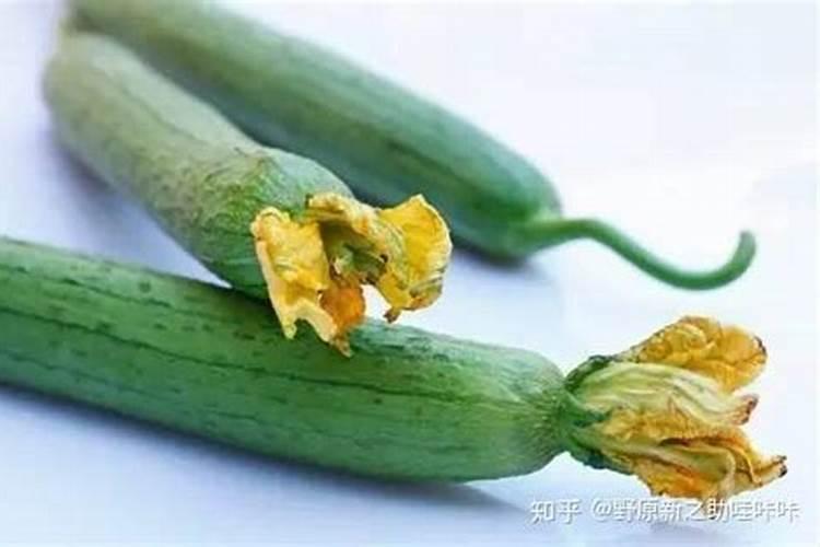 丝瓜烂花原因有什么自己种丝瓜怎么预防烂花