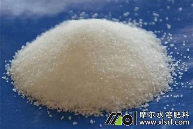 树仔菜种植方法与步骤 树仔菜种植方法 树仔菜怎么种 树头菜的种植与栽 ...