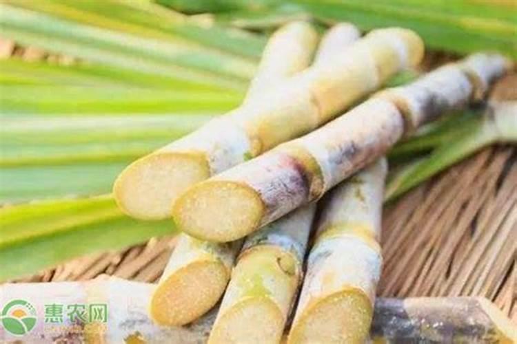 车用尿素可以给植物施肥吗 车用尿素能用在农作物上面做肥料吗