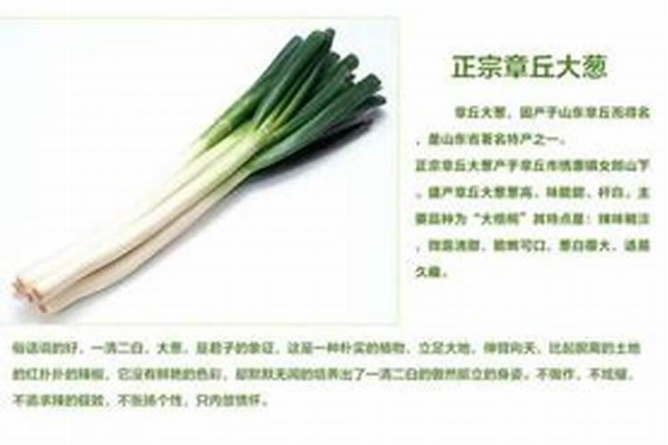 大葱的定植与田间管理如何掌握？