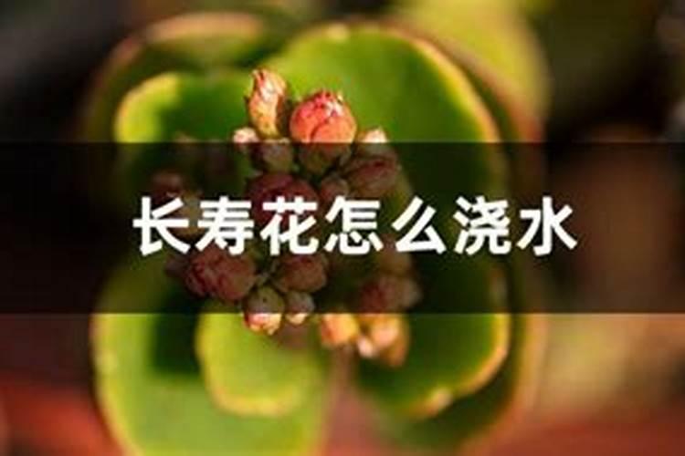 炒熟的花生怎么做花肥