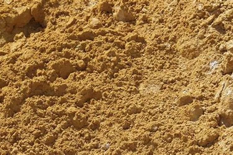 农业部正式登记的微生物肥料品种