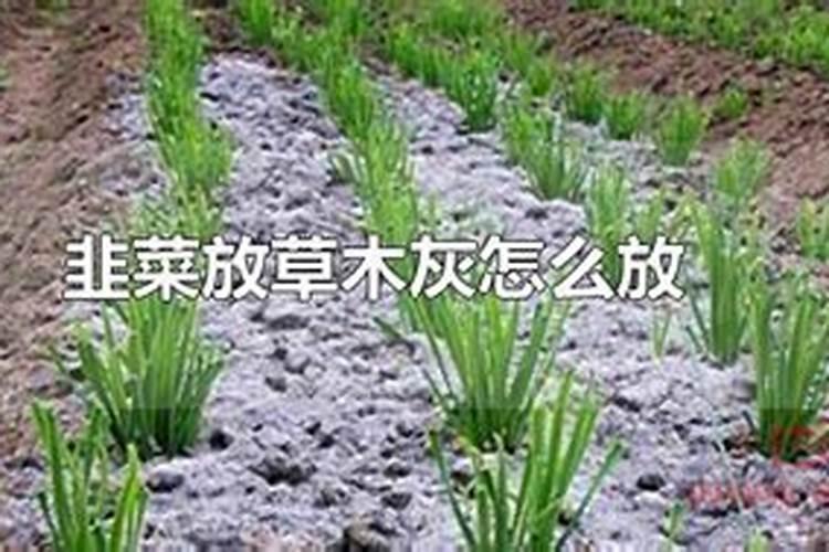 请问桃树可以施用氯化钾复合肥吗？