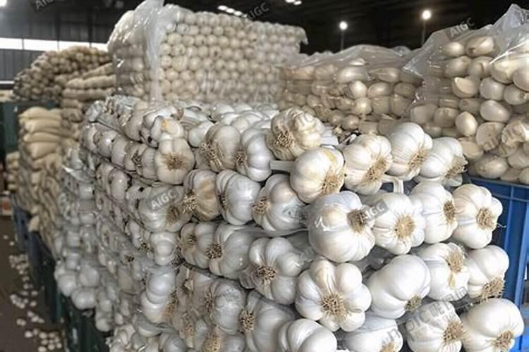 大蒜专用肥料