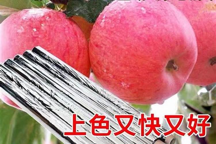 苹果追施用什么肥料？苹果用哪种水溶肥？苹果膨果增产用调色师