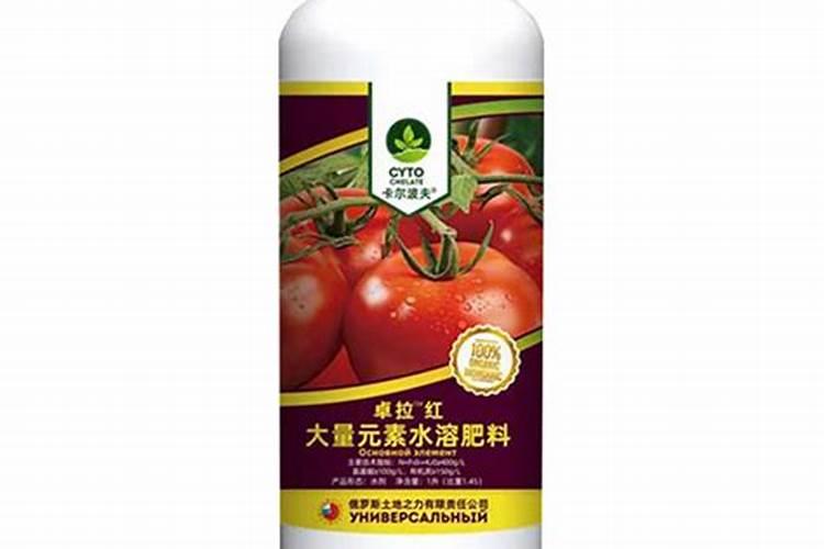 多肉佛珠可以水培吗 水培佛珠方法