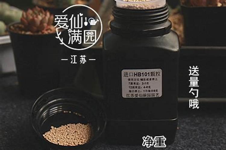 多肉用什么肥料