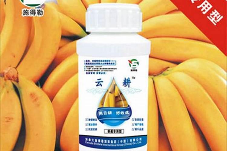灌根杀虫的农药有哪些