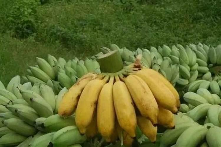 家庭种植蔬菜用什么做肥料？