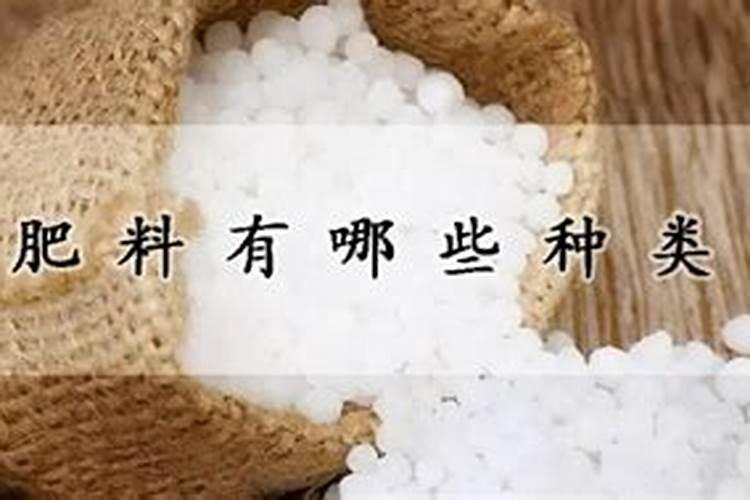 如何正确使用罗布泊硫酸钾镁肥以达到最佳施肥效果？