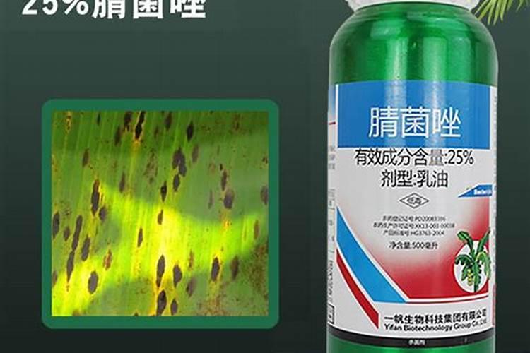 莴笋怎样变粗