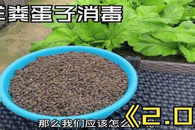 买花送的肥料可以用吗