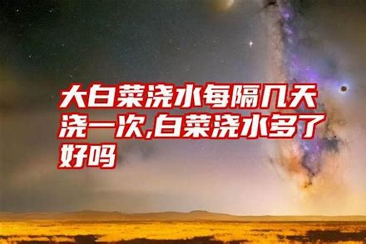 如何用芸苔素拌玉米种