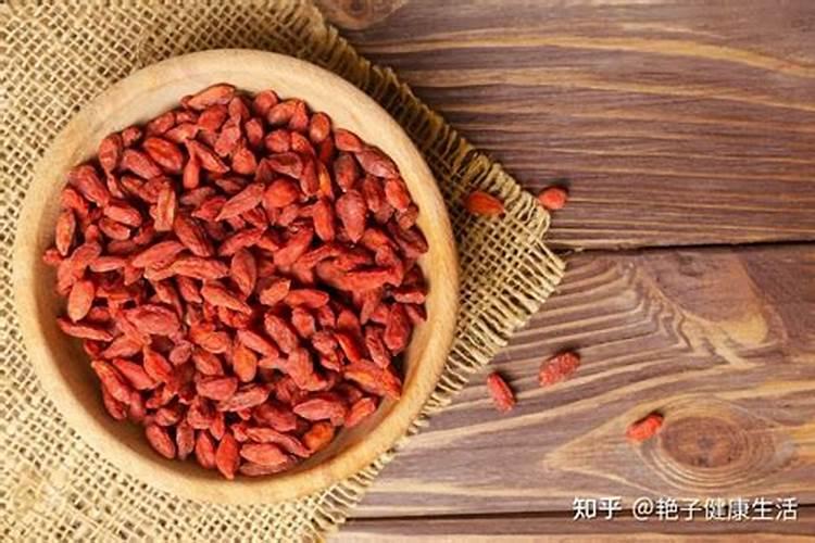 刚种的月季树怎么处理 刚移栽的月季怎么管理