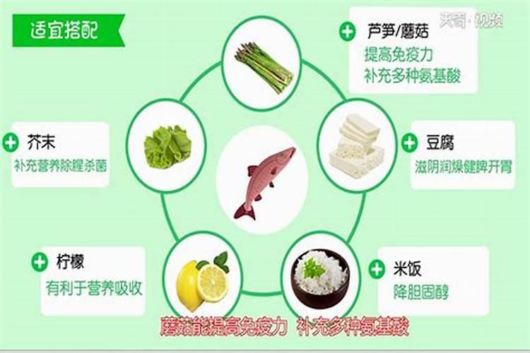 氨基酸和鱼蛋白差别在哪里？