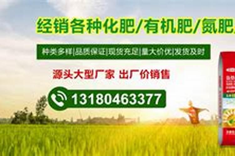 鱼蛋白水溶肥制作方法
