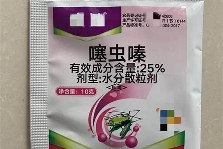 辣椒苗蘸根用什么药 辣椒不死苗怎么蘸根