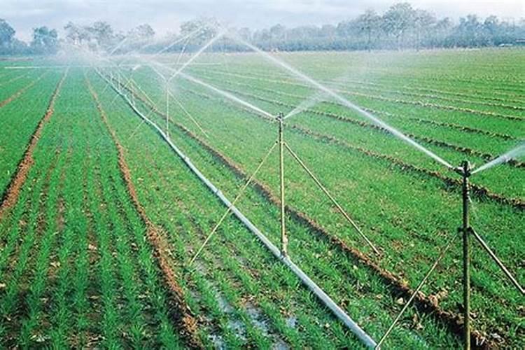 10斤大量元素水溶肥能滴灌多大面积玉米？