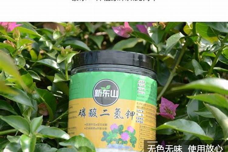 西红柿黄腐酸钾什么时侯冲服