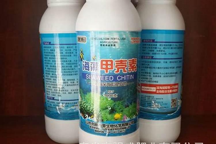 海藻甲壳素水溶肥什么月份用