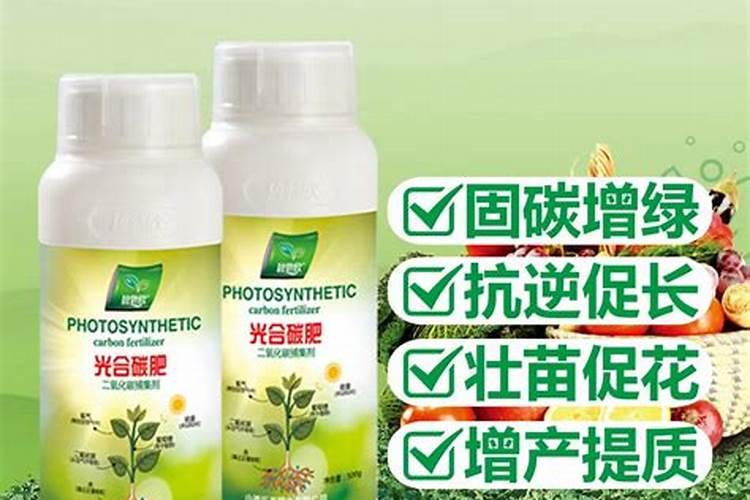 立冬节气农事之果树管理