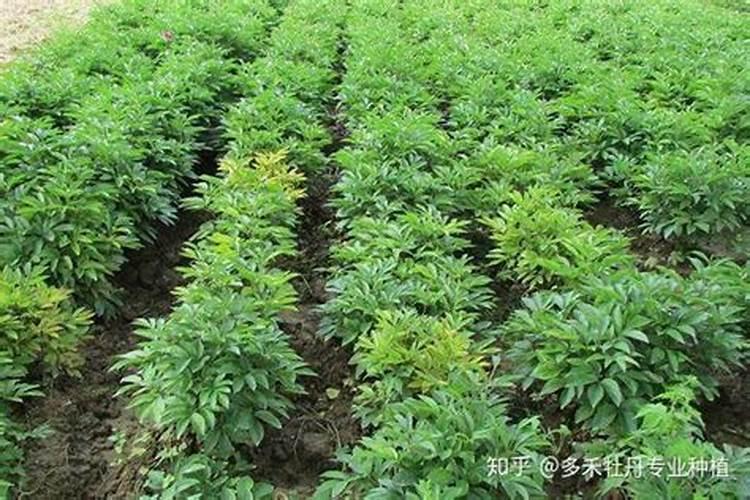 宝藏购物中心实惠多多,携手实现会员店敏捷经营!
