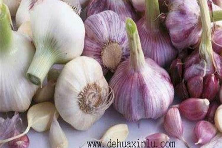 大蒜需要锌和硼肥吗？