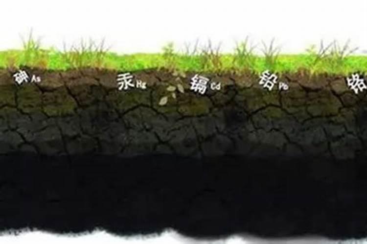 钾肥的制作方法 制作钾肥用什么原料