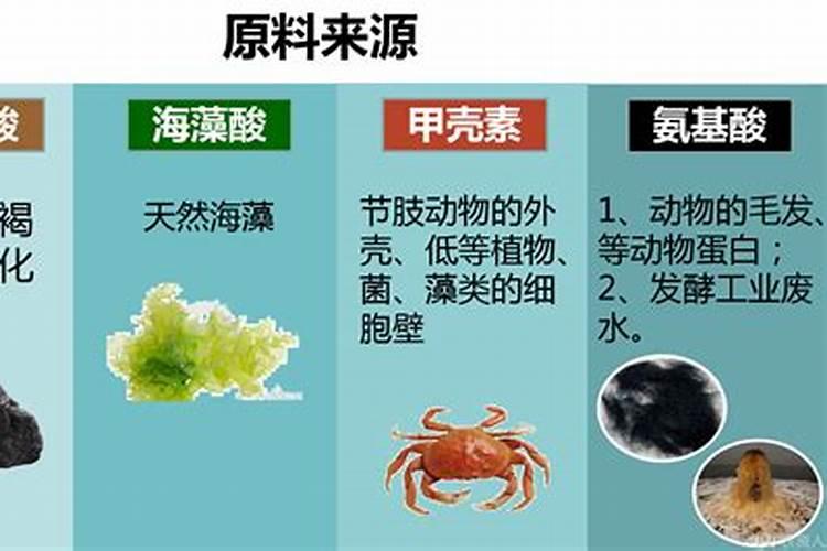 海藻肥海藻肥的作用机理