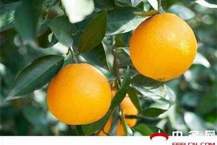 矿源腐植酸钾一亩地用25斤是不是超量了？