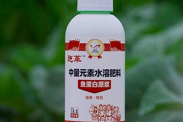 红薯叶淋尿肥烧叶子怎么办 挽救方法有哪些