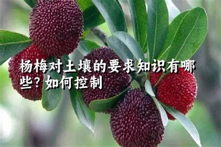吸氢气与喝富氢水的区别 吸氢机和富氢水哪个好