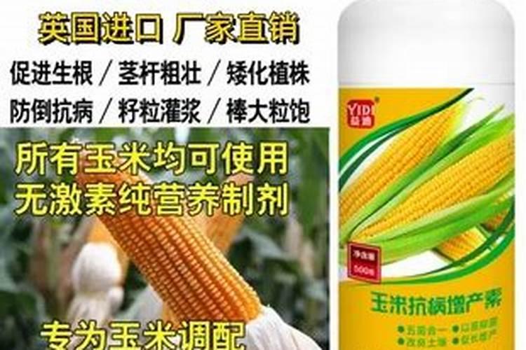 玉米专用叶面肥什么牌子好