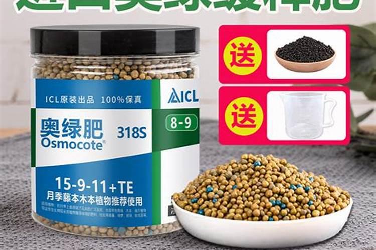 奥绿318可以用兰花吗