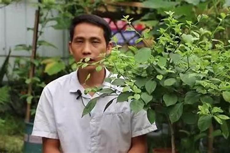 水稻种子催芽方法五种方法